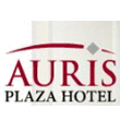 Auris Plaza Management